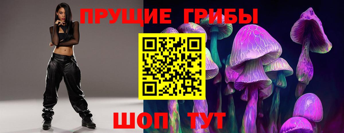 Псилоцибиновые грибы GOLDEN TEACHER  Галлюциногенные грибы прущие грибы  Бутурлиновка  Вход с VPN 